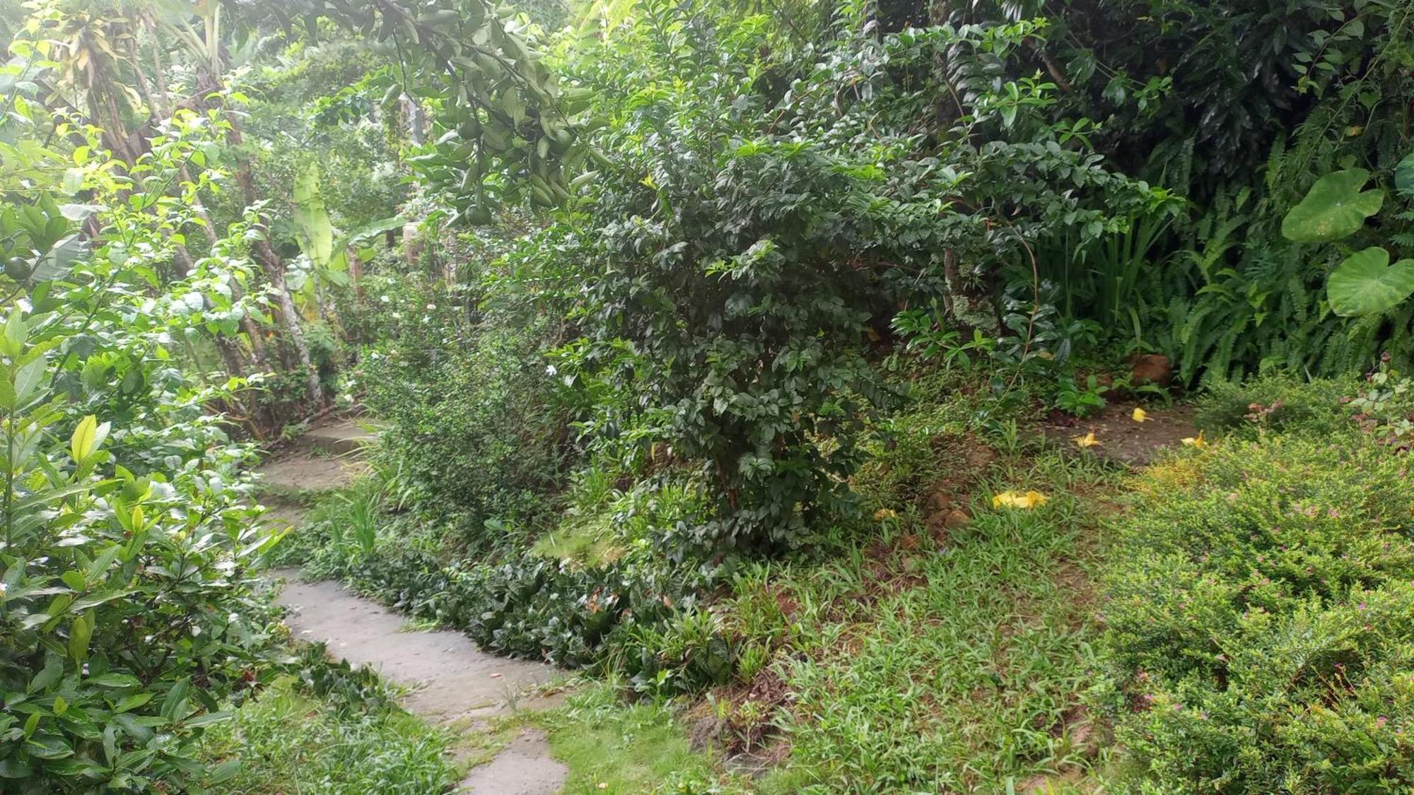 Ilha Grande - Casa Praia Da Longa Exterior foto